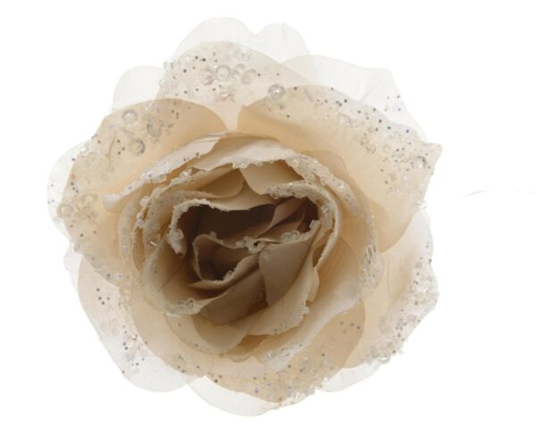 cream clip on rose